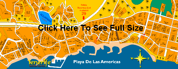 Playa de las Americas street map